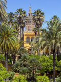 Giralda Tower Seen from Alcazar Gardens, Seville, Spain