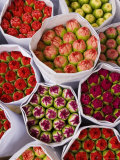China, Hong Kong, Kowloon, Flower Market