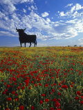 Buy Giant Bull, Toros de Osborne, Andalucia, Spain at AllPosters.com