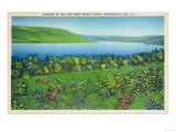 Canandaigua, New York - Seneca Point View of the Lake