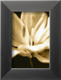 Buy Radiance III at AllPosters.com