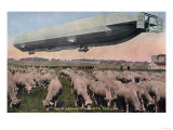 Buy Germany - View of a Zeppelin Blimp over Grazing Sheep at AllPosters.com