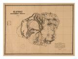 Buy Hawaii - Panoramic Kauai Island Map at AllPosters.com