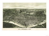 Cincinnati, Ohio - Panoramic Map