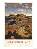 Buy Northumberland, England - Hadrian's Wall and Sheep British Rail Poster at AllPosters.com