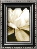 Buy Radiance II at AllPosters.com