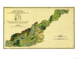 Buy Forests of Western North Carolina - Panoramic Map at AllPosters.com