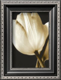 Radiance I