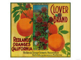 Buy Clover Orange Label - Redlands, CA at AllPosters.com