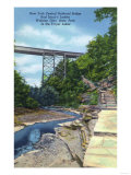 Watkins Glen, NY - State Park View of NY Central RR Bridge, Jacob's Ladder