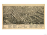 Buy Winston-Salem, North Carolina - Panoramic Map at AllPosters.com