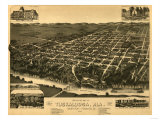 Buy Tuscaloosa, Alabama - Panoramic Map at AllPosters.com