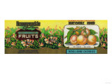 Buy Honeysuckle Cherry Label - San Francisco, CA at AllPosters.com