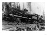 Logging Train carrying men and 12 foot diameter Fir Trees Photograph - Cascades, WA