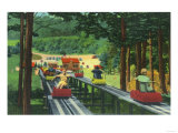 Cranmore Mountain Ski-Mobile in Summertime - North Conway, NH