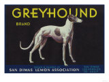 Buy Greyhound Lemon Label - San Dimas, CA at AllPosters.com