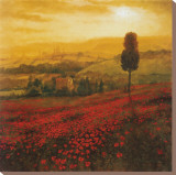 Buy Shades of Poppies at AllPosters.com