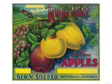 Rose Hill Apple Crate Label - Watsonville, CA
