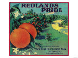 Buy Redlands Pride Orange Label - Redlands, CA at AllPosters.com