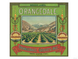 Buy Orangedale Orange Label - Redlands, CA at AllPosters.com