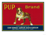 Buy Pup Lemon Label - San Dimas, CA at AllPosters.com