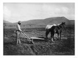 Buy Native American Plowing His Field Photograph - Sacaton Indian Reservation, AZ at AllPosters.com