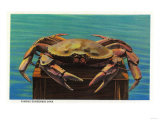 Dungeness Crab on Hood Canal - Hood Canal, WA