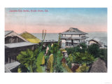 View of the Japanese Tea Garden - Pacific Grove, CA