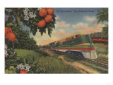 Train- Orange Blossom Special - Florida