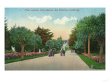 View of Palm Avenue at Sutro Heights - San Francisco, CA