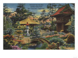 Oriental Tea Gardens in San Francisco, CA Golden Gate Park - San Francisco, CA
