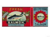 Buy Red Star Salmon Can Label - Ketchican, AK at AllPosters.com