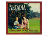 Buy Arcadia Orange Label - Pico Rivera, CA at AllPosters.com