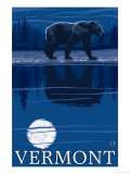 Vermont - Bear in the Moonlight