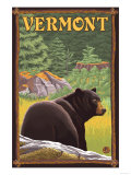 Vermont - Black Bear in Forest