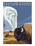 Yellowstone - Bison with Old Faithful