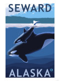Seward, Alaska - Orca and Calf Scene