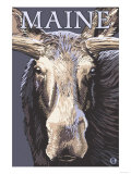 Maine - Moose Up Close