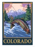 Buy Fly Fishing Scene - Colorado at AllPosters.com