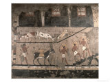 Buy Agricultural Scene, Wall Painting Removed from Mastaba of Ti, Sakkara, Old Kingdom, c.2494-2345 BC at AllPosters.com