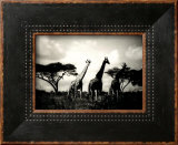 Buy Long Necks II at AllPosters.com