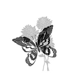 Greyscale Print of Butterfly on Flowers