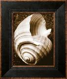 Sea Gallery IV