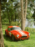 1964 AC Cobra Le Mans