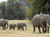 Born Free Charity, Kenya, September 2004