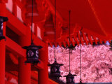 Heian Shrine in Spring, Shinto, Kyoto, Japan