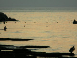 Buy Men are Silhouetted Against the Sea as They Fish and Relax on the Beirut Coastline, August 24, 2006 at AllPosters.com