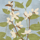 Secret Garden II