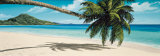 Buy Island View at AllPosters.com