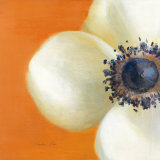 Buy Contemporary Poppy at AllPosters.com